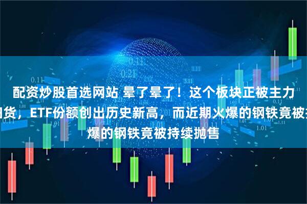 配资炒股首选网站 晕了晕了！这个板块正被主力大手笔扫货，ETF份额创出历史新高，而近期火爆的钢铁竟被持续抛售