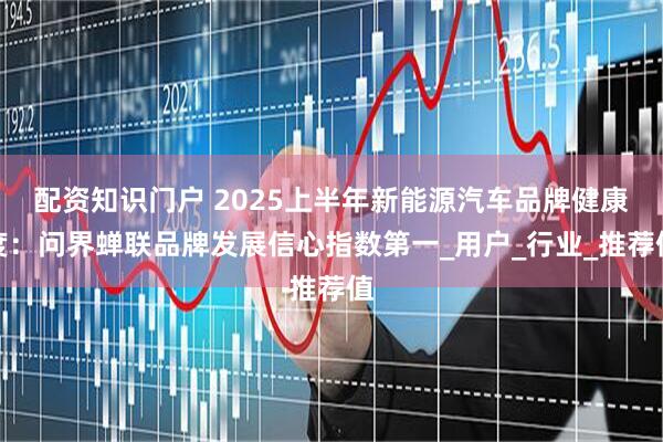 配资知识门户 2025上半年新能源汽车品牌健康度：问界蝉联品牌发展信心指数第一_用户_行业_推荐值